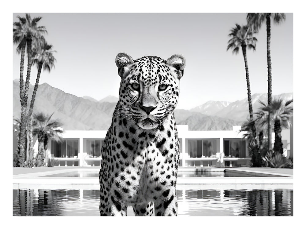 Black and white tiger with palm trees